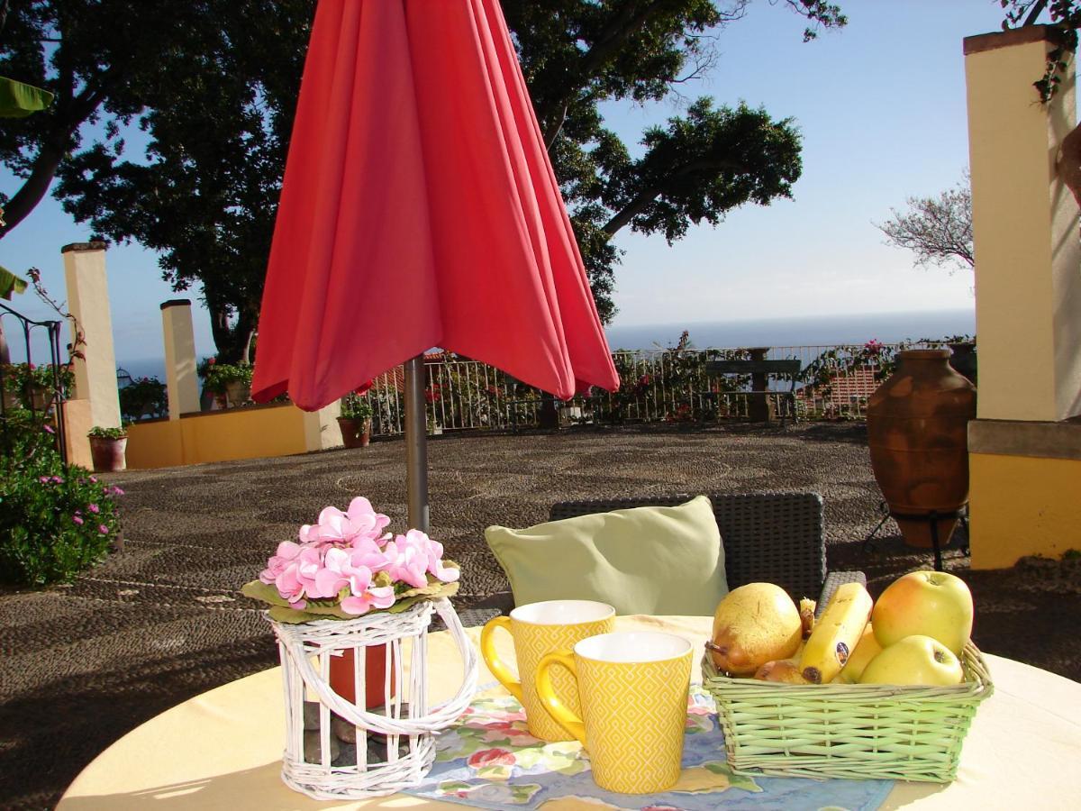 Purple Studio Funchal  Luaran gambar